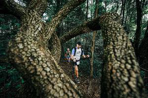 BIB: 
                            <button type="button" onclick="openModal(25394116)" class="btn btn-primary btn-sm float-right btn-popup" data-toggle="modal" data-target=".modal-high-quality">
                        <i class="fas fa-shopping-cart"></i> Add to Cart
                    </button>
                                            <button type="button" onclick="isThisMe(25394116, true)" class="btn btn-success btn-sm float-right btn-popup btn-isme hidden" data-toggle="tooltip" data-placement="bottom" title="นี่คือรูปของคุณใช่ไหม คลิกที่นี่เพื่อเอาเข้าอัลบั้ม">
                        <i class="fas fa-plus"></i> Add to album
                    </button>
                    <button type="button" onclick="isThisMe(25394116, false)" class="btn btn-warning btn-sm float-right btn-popup btn-isnotme hidden">
                        <i class="fas fa-ban"></i> Remove from album
                    </button>